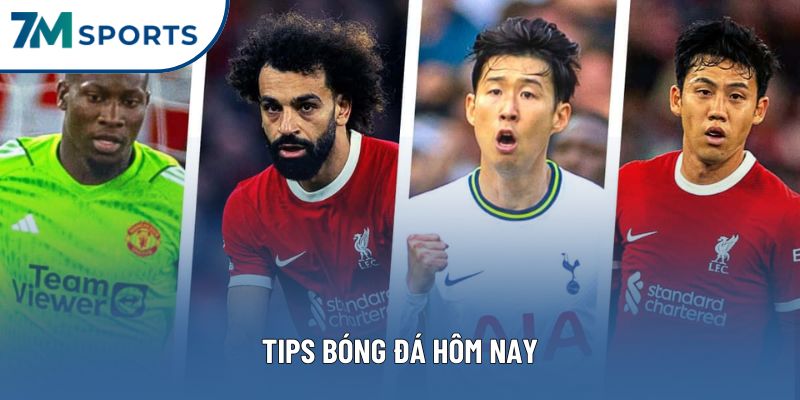 Tips Bóng Đá Hôm Nay | Cẩm Nang Soi Kèo Chuẩn Xác Từ Chuyên Gia 7M